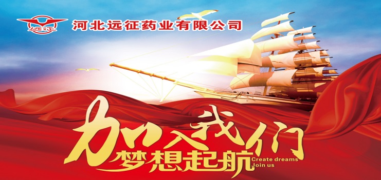 招聘信息2026